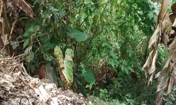 Imagem 4: 1200M² de Área Construída, 1200M² de Área Total