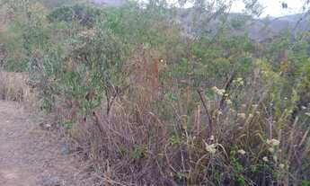 Imagem 2: LOTE RESIDENCIAL em NOVA LIMA - MS, MIRANTE DA MATA