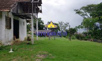 Imagem 7: RIBEIRÃO DA ILHA FLORIANOPOLIS