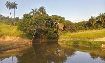 Imagem 2: Linda Chácara à Venda de 20.000m2 com Lagoa, na área de mata atlântica, local com exuberan