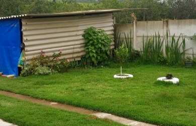 Imagem 7: Lindo Sítio de 600m2 à venda, casa bem charmosa e córrego nos fundos! Vilarejo aconchegant