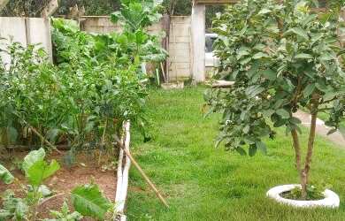 Imagem 6: Lindo Sítio de 600m2 à venda, casa bem charmosa e córrego nos fundos! Vilarejo aconchegant