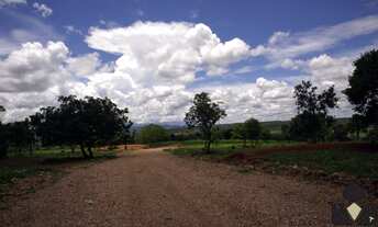 Imagem 6: Lindas fazendinhas com excelente topografia, portaria eletrônica e a acesso à água! Situad