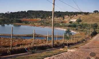 Imagem 4: Sítio Rural para Venda de 20.000m2, todos com topografia plana, excelente localização, em