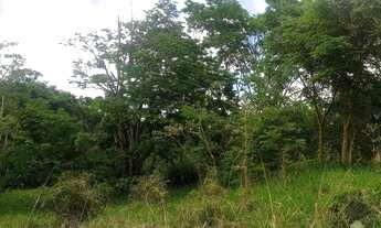 Imagem 6: Lindas Fazendinhas, excelente topografia, no Condomínio Rural Fechado Recanto das Quintas