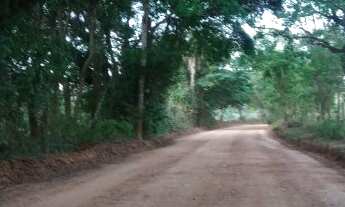 Imagem 3: Fazendinhas de 20.000m2 à venda em Jequitibá - MG. em condições especiais, a partir de R$1