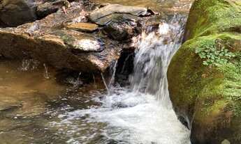 Imagem 5: Chácara à venda em Caeté - MG: 20.000m² no bairro Quintas da Serra, oportunidade única!