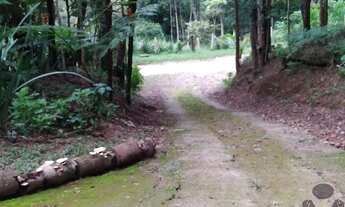 Imagem 2: Venda - Sitio - Chácara - Caete MG