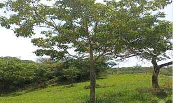 Imagem 6: Terreno de 20.000m² com nascente à venda em Sete Lagoas-MG, no bairro Área Rural - Oportun