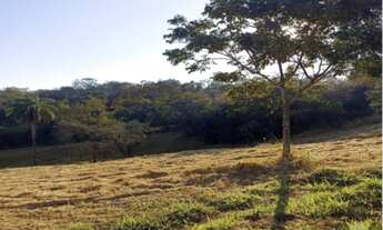 Imagem 3: Terreno de 20.000m² com nascente à venda em Sete Lagoas-MG, no bairro Área Rural - Oportun
