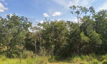 Imagem: Chácara de 20.000m² com nascente à venda