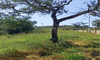 Imagem: Terreno de 20.000m² com nascente à venda