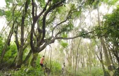 Imagem 7: Natureza Exuberante! Lindas Fazendinhas à venda de 20.000m2 situadas em Aranha, na região