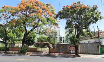 Imagem 2: 945M² de Área Total na Rua Araça