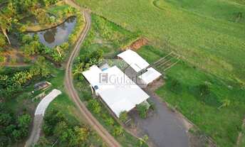 Imagem: Chacara em Bom Principio