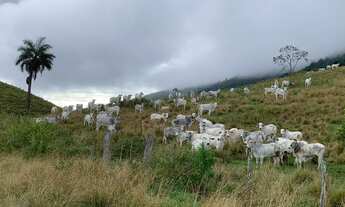 Imagem: Fazenda de Luxo à Venda em Itaboraí-RJ