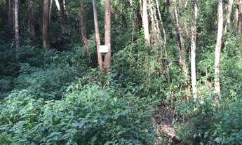 Imagem: TERRENO RESIDENCIAL em Embu das Artes