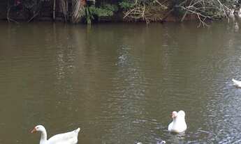 Imagem 2: TERRENO RESIDENCIAL em Embu das Artes - SP, Embu