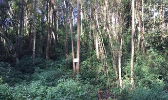 Imagem 3: TERRENO RESIDENCIAL em Embu das Artes - SP, Embu