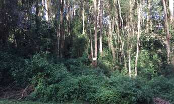 Imagem 4: TERRENO RESIDENCIAL em Embu das Artes - SP, Embu