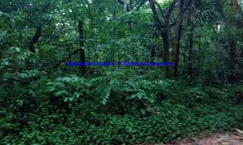 Imagem 3: TERRENO RESIDENCIAL em EMBU DAS ARTES - SP, EMBU DAS ARTES