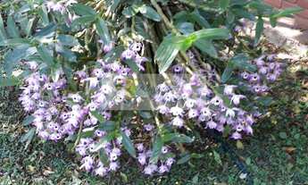 Imagem 6: CHACARA COMERCIAL em EMBU DAS ARTES - SP, EMBUEMA