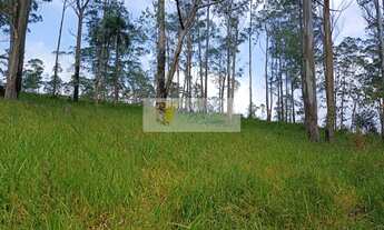 Imagem: TERRENO RESIDENCIAL em EMBU DAS ARTES