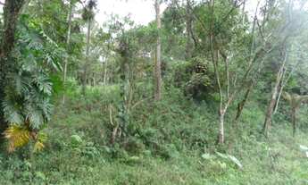 Imagem 5: AREA COMERCIAL em Embu - SP, EMBU Das Artes