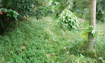 Imagem 7: AREA COMERCIAL em Embu - SP, EMBU Das Artes