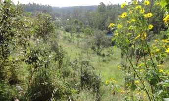 Imagem 3: AREA RESIDENCIAL em Embu - SP, EMBU Das Artes