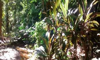 Imagem 6: TERRENO em Embu - SP, FRENTE PARA BR 116