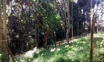 Imagem: TERRENO em Embu - SP, FRENTE PARA BR 116