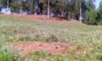 Imagem 2: CHÁCARA em Assis - SP