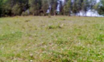 Imagem 3: CHÁCARA em Assis - SP