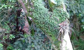 Imagem 5: CHÁCARA em Assis - SP