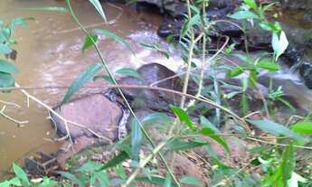 Imagem 7: CHÁCARA em Assis - SP