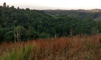 Imagem 7: TERRENO em Itapecerica da Serra - SP, BR 116