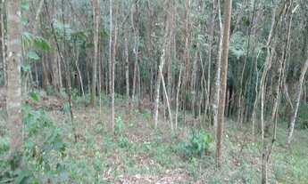 Imagem: TERRENO em Embu das Artes - SP, Embu Das