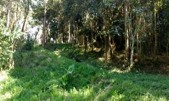 Imagem 7: TERRENO em Embu das Artes - SP, Embu Das Artes -SP