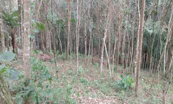Imagem 5: TERRENO em Embu das Artes - SP, Embu Das Artes -SP