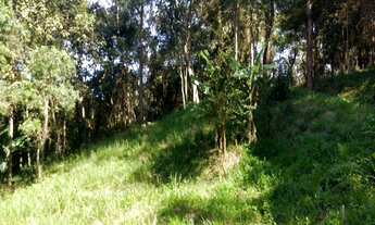 Imagem 6: TERRENO em Embu das Artes - SP, Embu Das Artes -SP