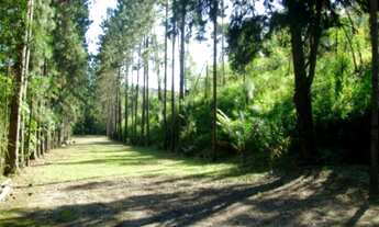 Imagem: AREA RESIDENCIAL em EMBU DAS ARTES - SP