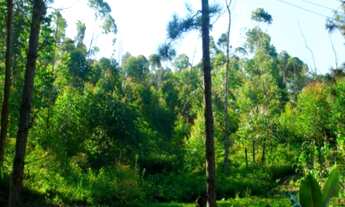 Imagem 3: AREA RESIDENCIAL em EMBU DAS ARTES - SP, CHÁCARAS BARTIRA