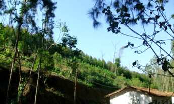 Imagem 4: AREA RESIDENCIAL em EMBU DAS ARTES - SP, CHÁCARAS BARTIRA