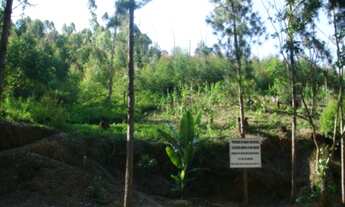 Imagem 5: AREA RESIDENCIAL em EMBU DAS ARTES - SP, CHÁCARAS BARTIRA