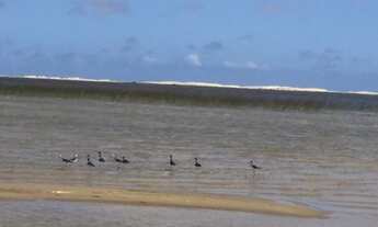 Imagem 4: Pousada na lagoa do Bacupari/RS