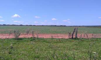 Imagem 5: FAZENDA RURAL em Dourados - MS, Centro