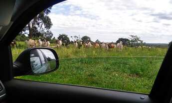 Imagem 3: FAZENDA RURAL em Dourados - MS, Centro