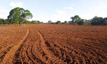 Imagem 2: FAZENDA RURAL em Dourados - MS, Centro