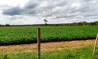 Imagem: FAZENDA RURAL em Dourados - MS, Centro